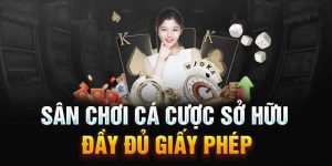 Các sản phẩm cá cược hấp dẫn của 789win tại Việt Nam